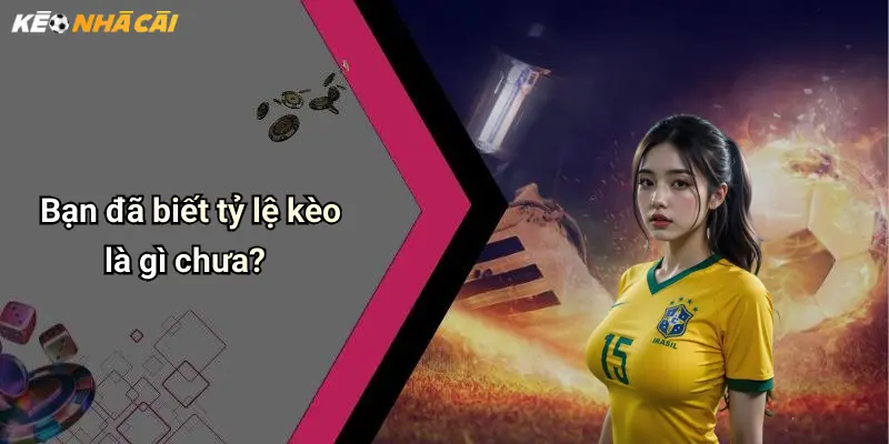 Bạn đã biết tỷ lệ kèo là gì chưa?