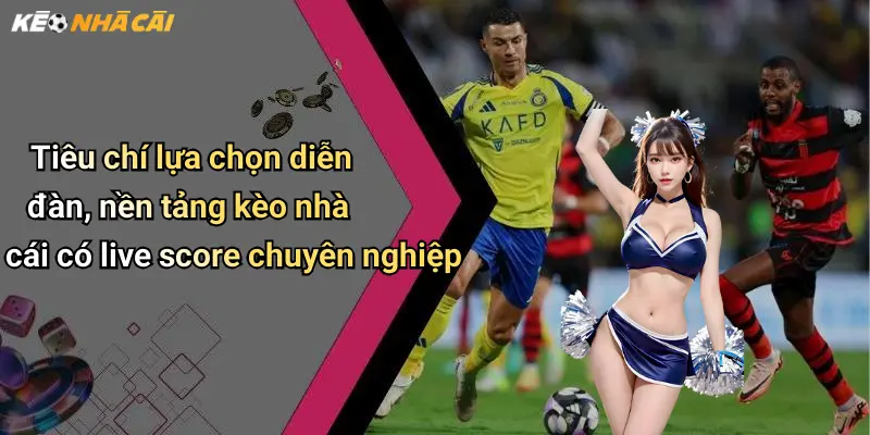 Tiêu chí lựa chọn diễn đàn, nền tảng kèo nhà cái có live score chuyên nghiệp