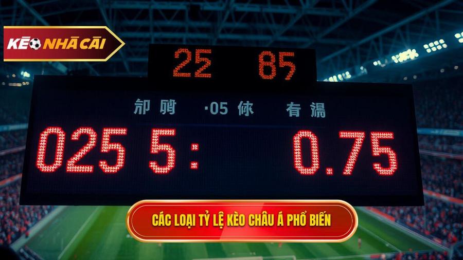 Các loại tỷ lệ phổ biến trong Kèo bóng đá Châu Á