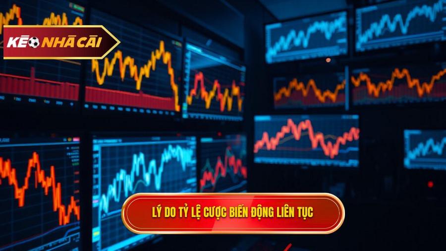 Tại sao tỷ lệ cược đêm nay lại biến động liên tục?