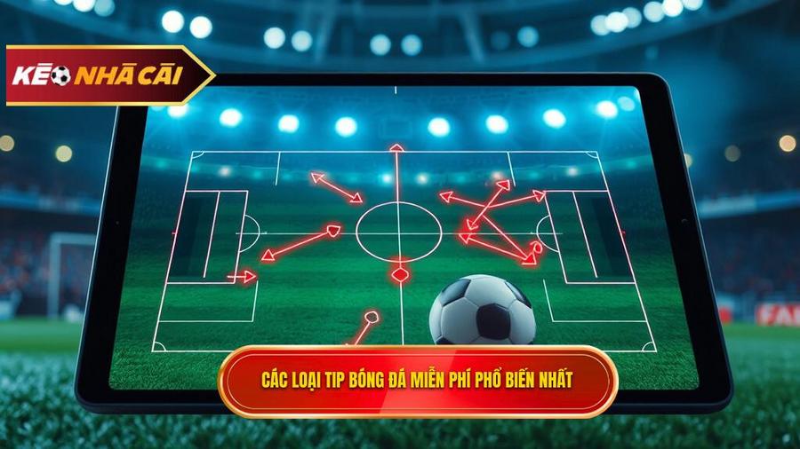 Các loại Tip bóng đá miễn phí phổ biến nhất